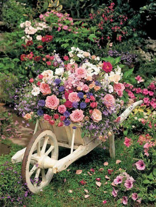 rose garden ideas for your backyard 5