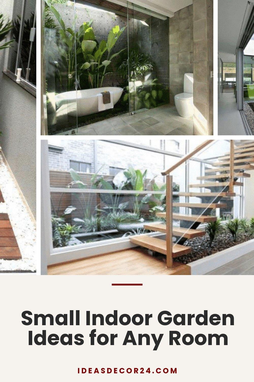 Small Indoor Garden Ideas for Any Room