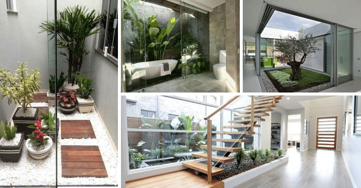 20+ Amazing Small Indoor Gardens