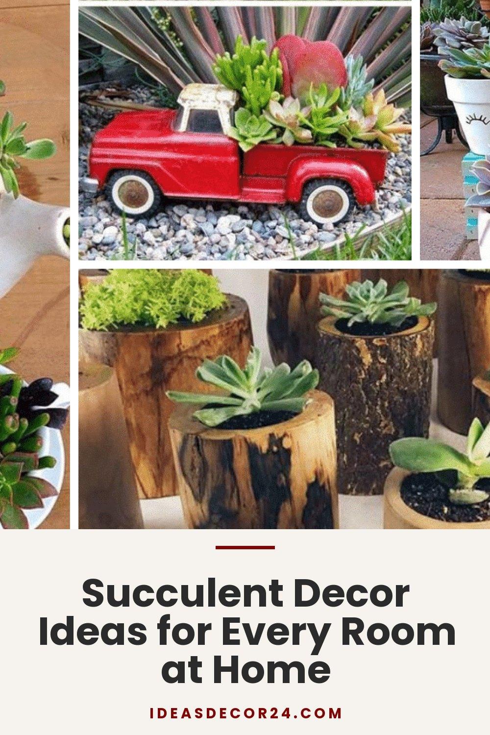 Succulent Decor Ideas for Every Room at Home