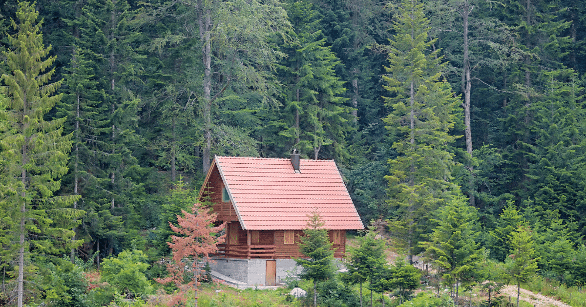 tiny mountain house 2