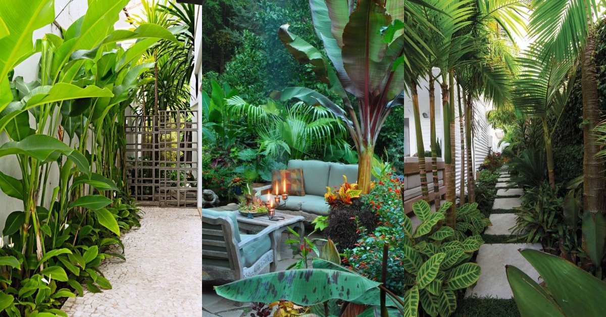Tropical garden ideas to be inspired