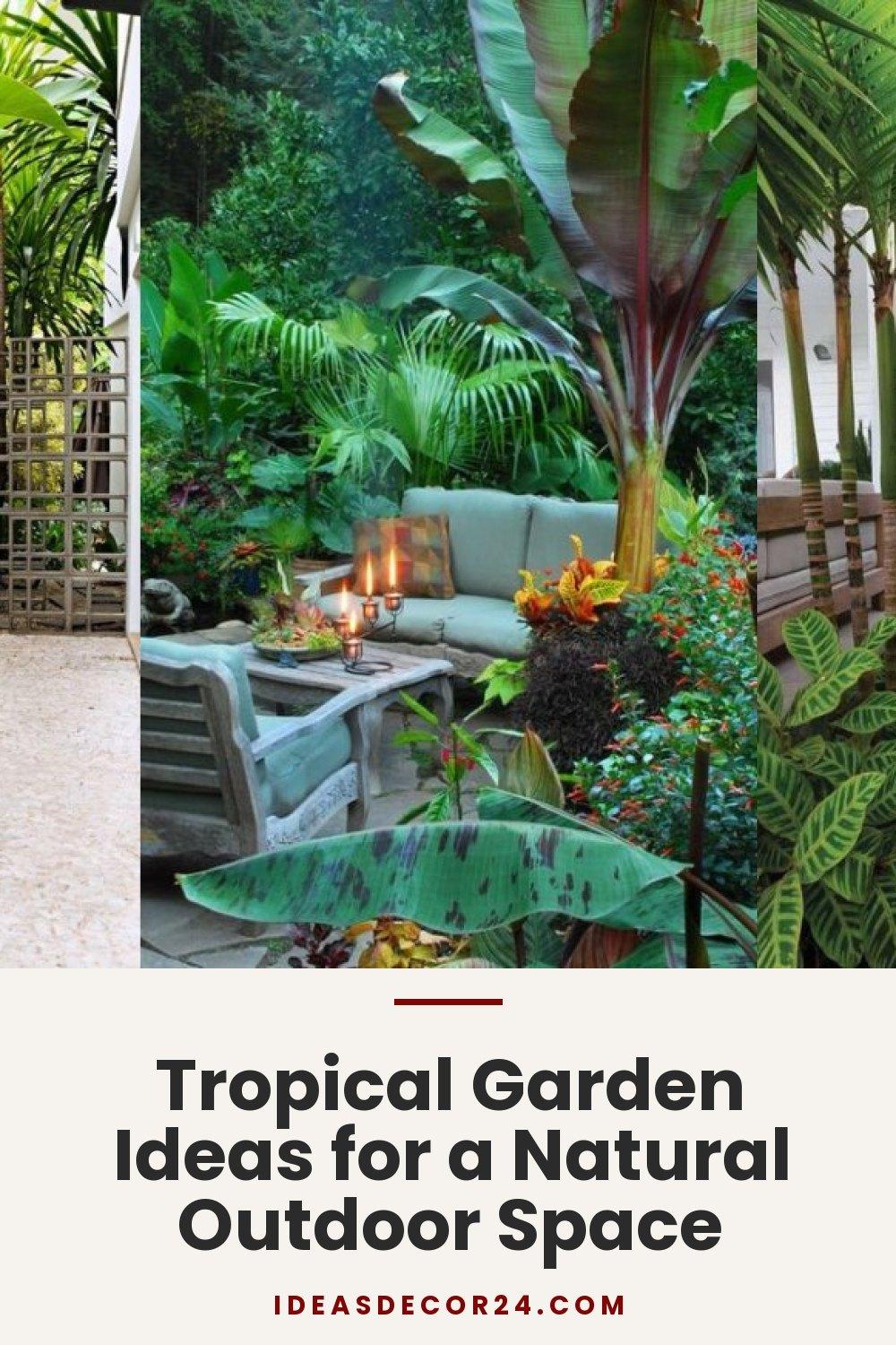 Tropical Garden Ideas for a Natural Outdoor Space