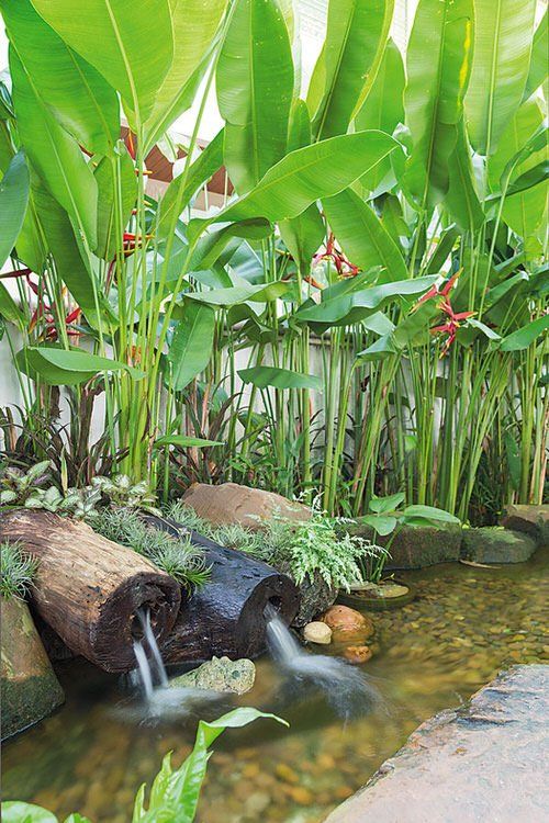 tropical garden ideas 2