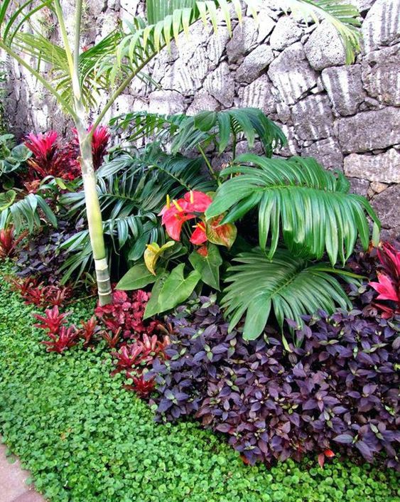 tropical garden ideas 8