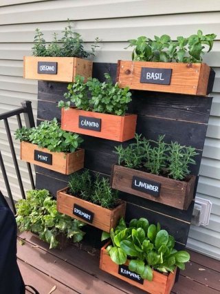 15+ Unique Ideas For Vertical Gardens