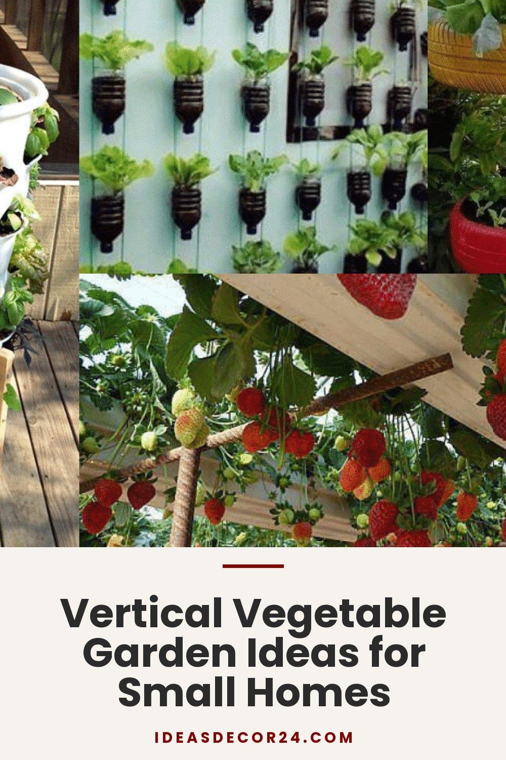 Vertical Vegetable Garden Ideas for Small Homes