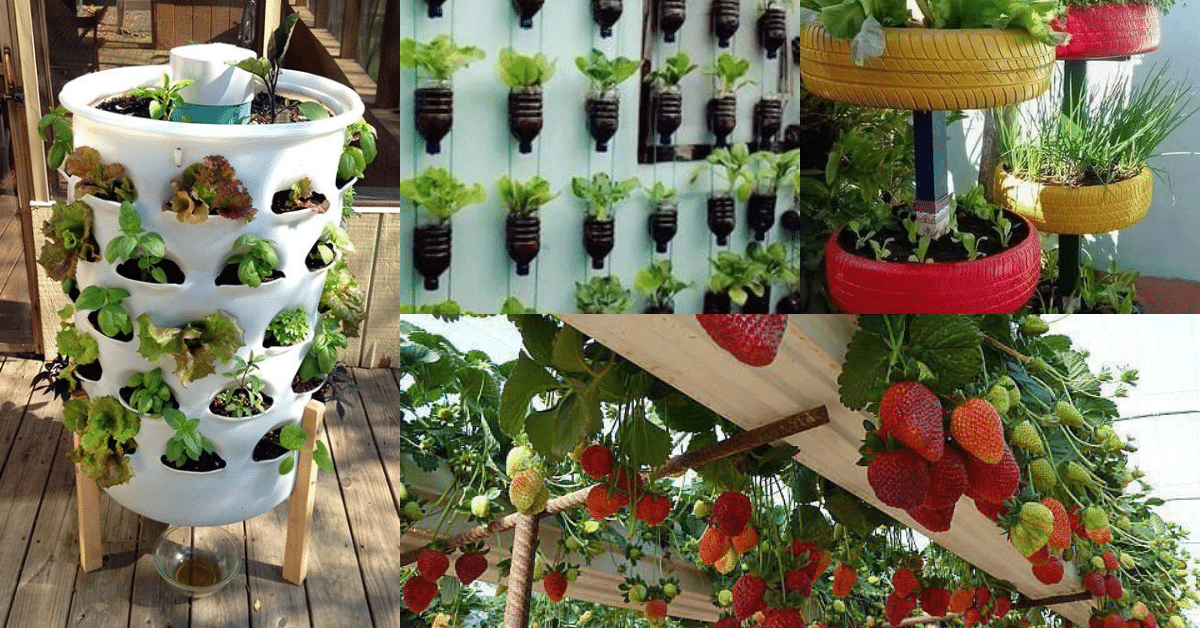 20+ Best Vertical Gardening Ideas