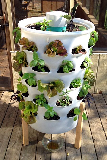 vertical gardening ideas 5 1